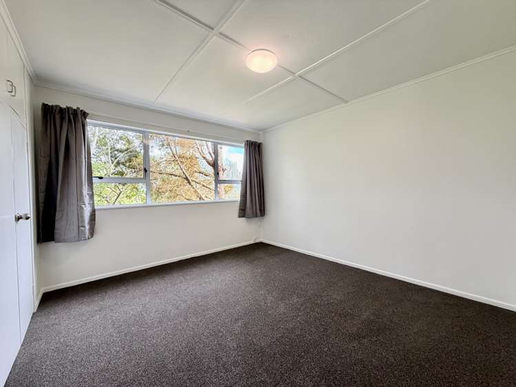1424 Alfriston Road Ardmore_4