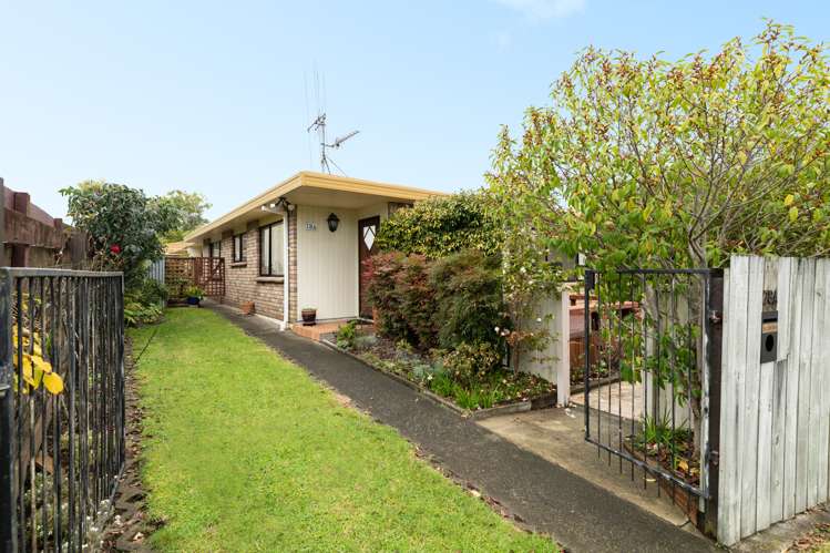 78a Princess Road Bellevue_12