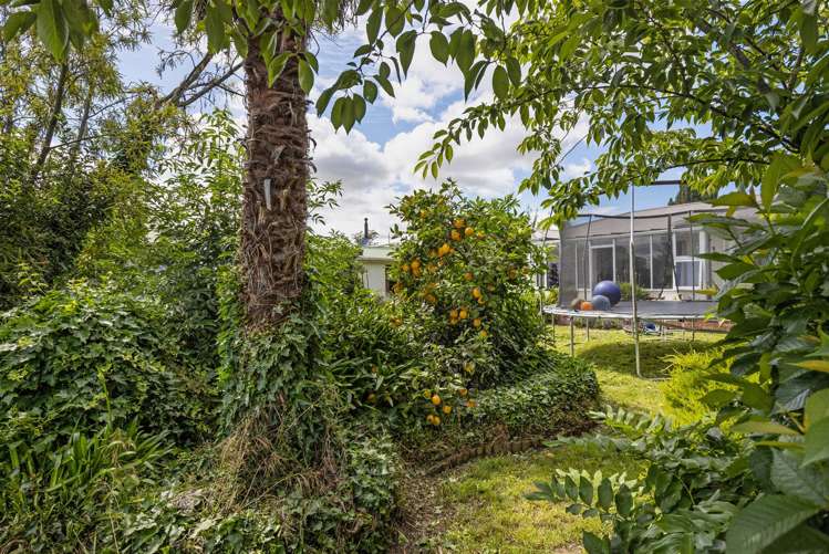 32 Leitrim Street Redwoodtown_6