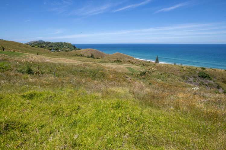 91 Winifred Street Okitu_14