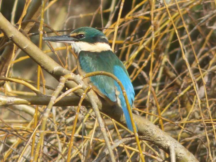 3 Bay Road Riverton_22