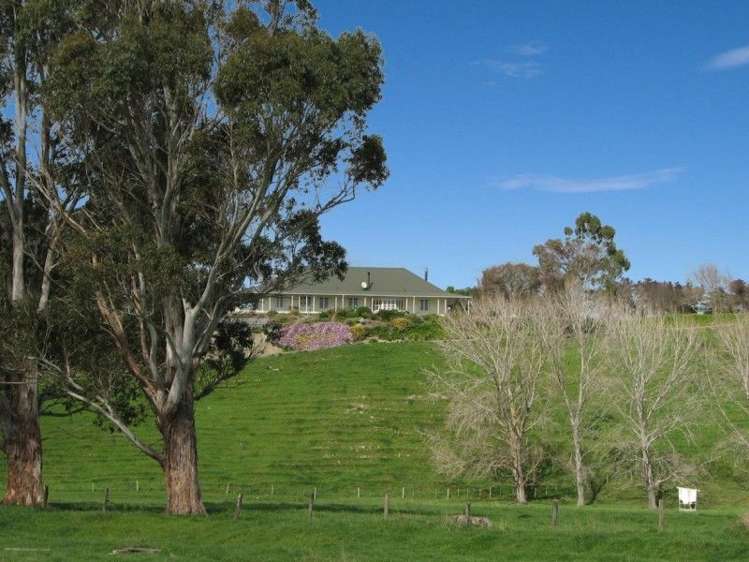 171 Hinakura Road Martinborough_2