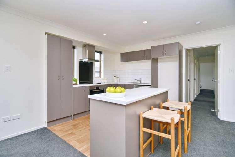 24 Wildberry Street Woolston_6