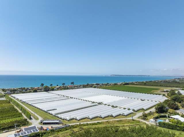 Quality Investment Opportunity