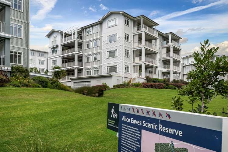 96 Eaves Bush Parade Orewa_1