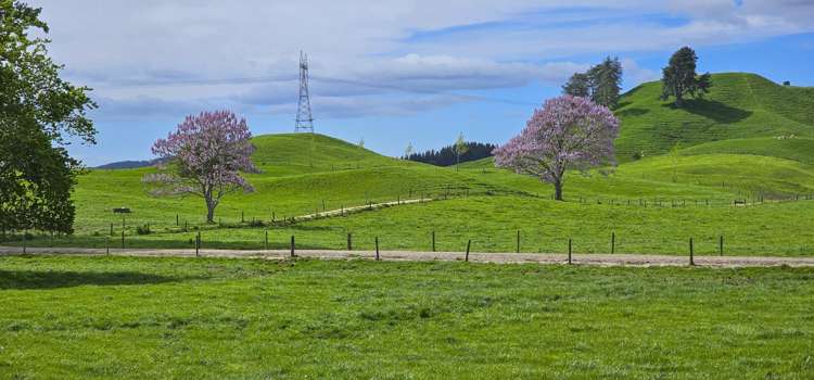 441 State Highway 38 Rerewhakaaitu_22