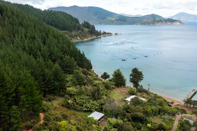 Lot 2 Grant Bay, Manaroa Marlborough Sounds_15