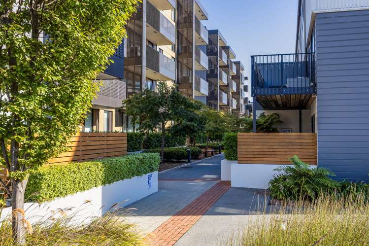 109/36B Welles Street_0