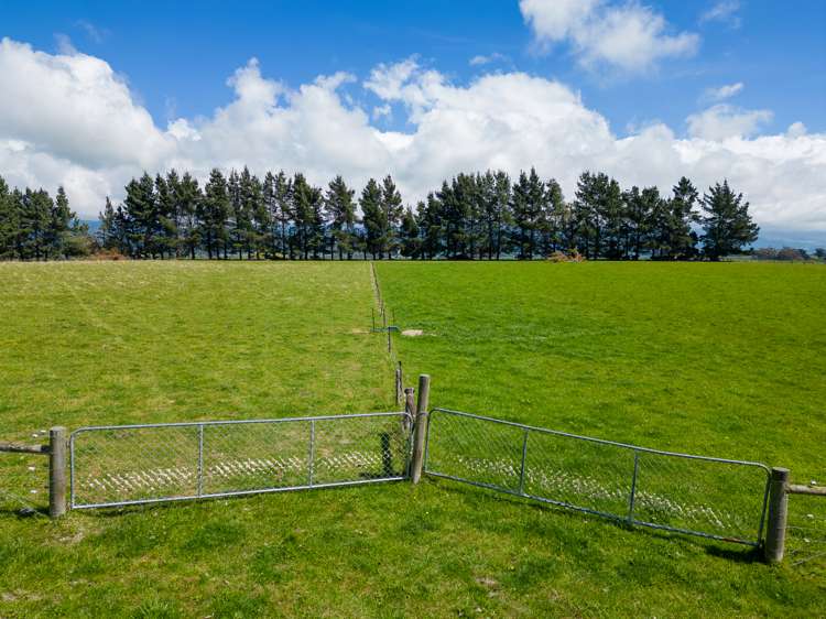 277 Hook School Road Makikihi_28