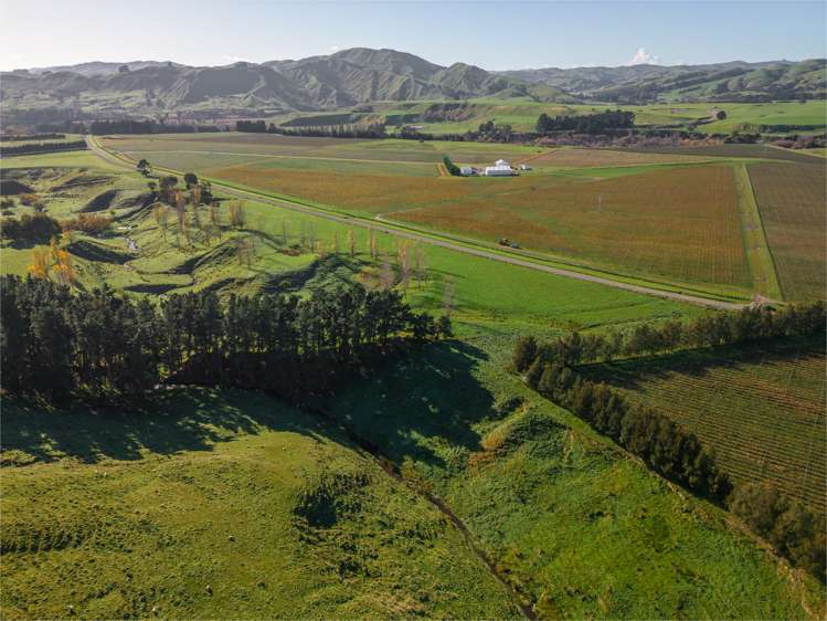 Lot 25 & 36/- Te Muna Road Martinborough_1