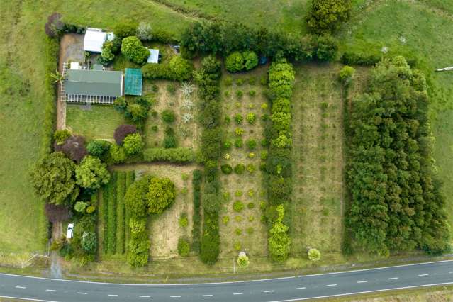 Golden Opportunity Orchard