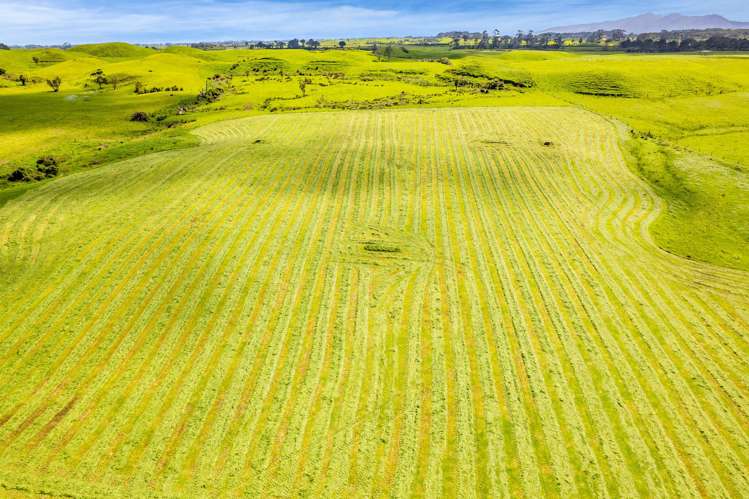 523/593 Warea Road Warea_16