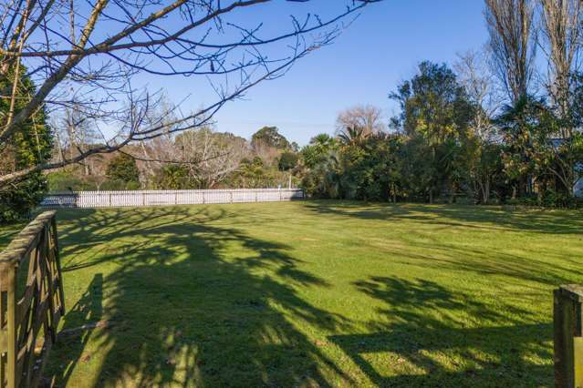 5a George Street Waihi_4
