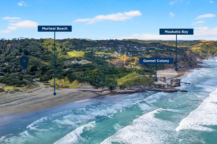 10 Waitea Road Muriwai Beach_22