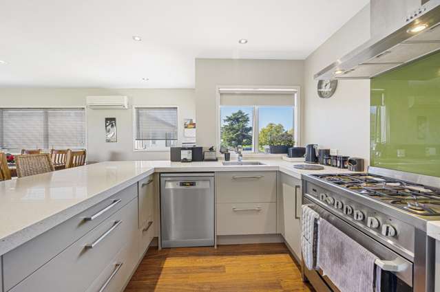 24A Alpers Terrace Marewa_4