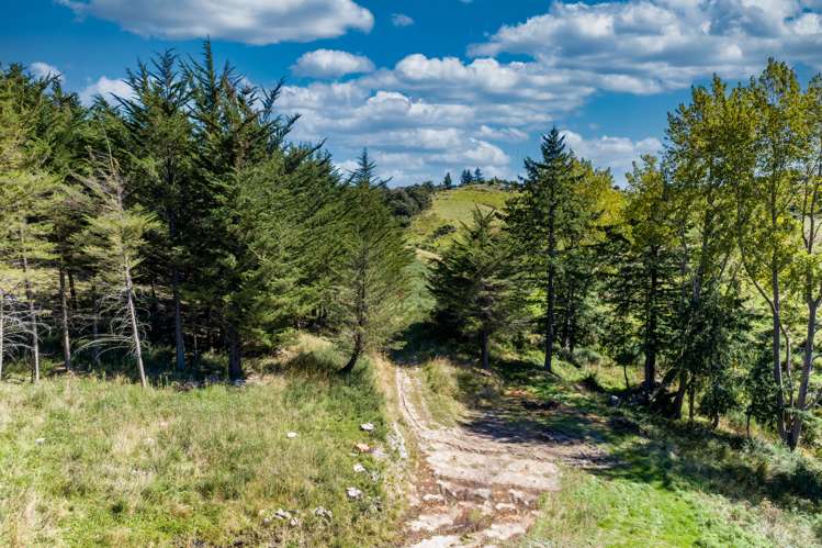 163 Mill Road Oxford_9