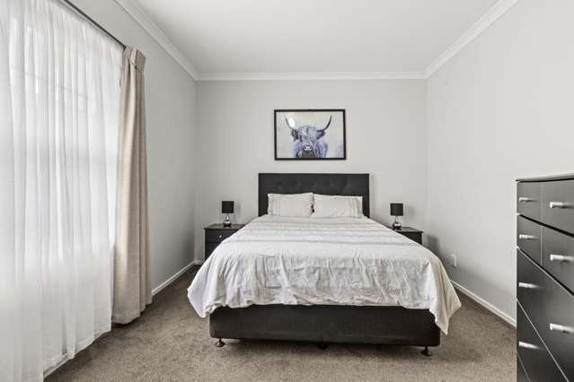 114 Avondale Road Taradale_4