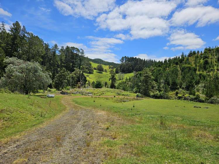 56 Ha Ha Road Pakotai_7