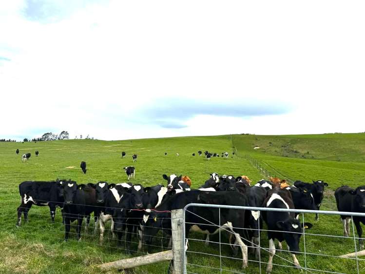 865 Wallaces Ford Road Clarks Junction_21