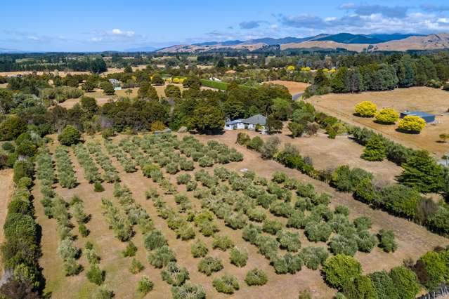 17 Tararua Drive Upper Plain_1