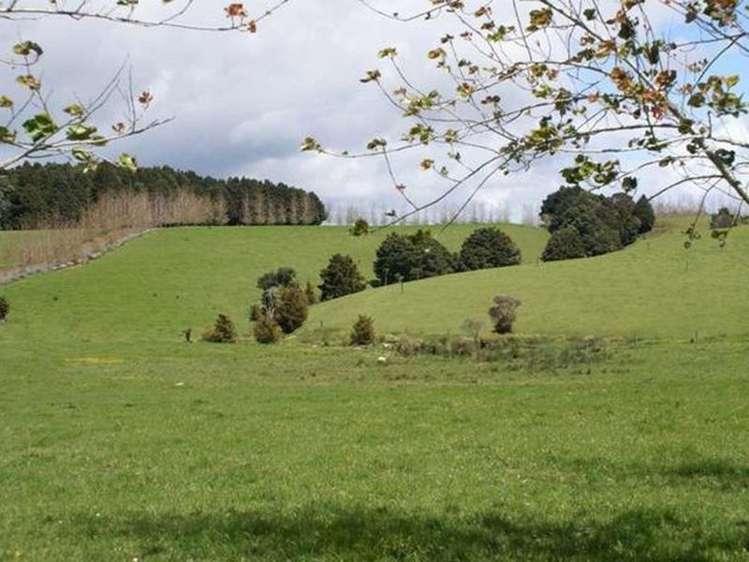 419 Pungaere Road Kerikeri Surrounds_0