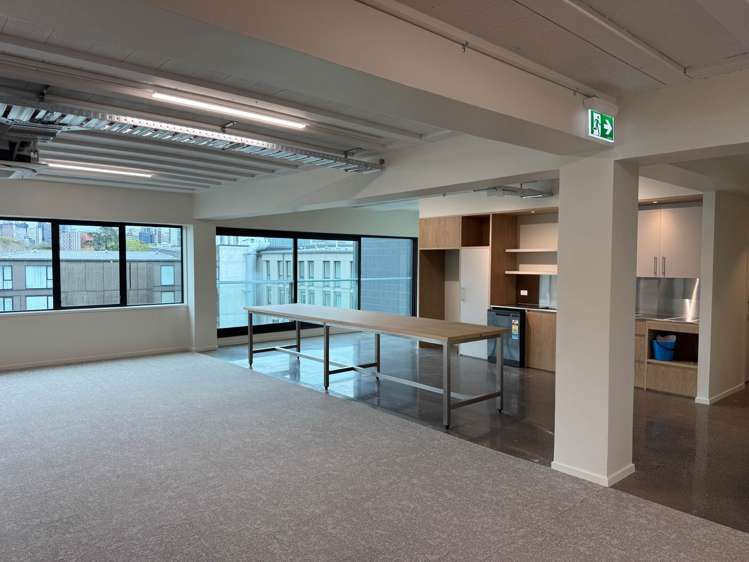 11-13 Falcon Street Parnell_6