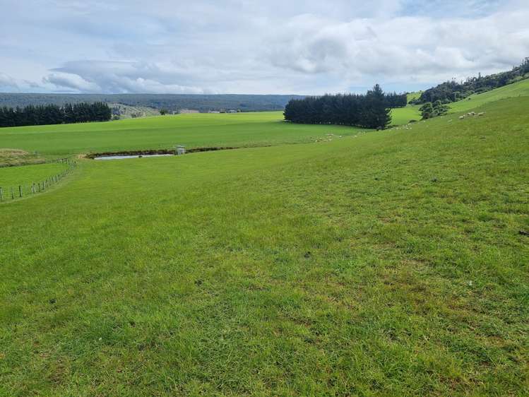 1384 Tahakopa Valley Road Catlins Surrounds_8