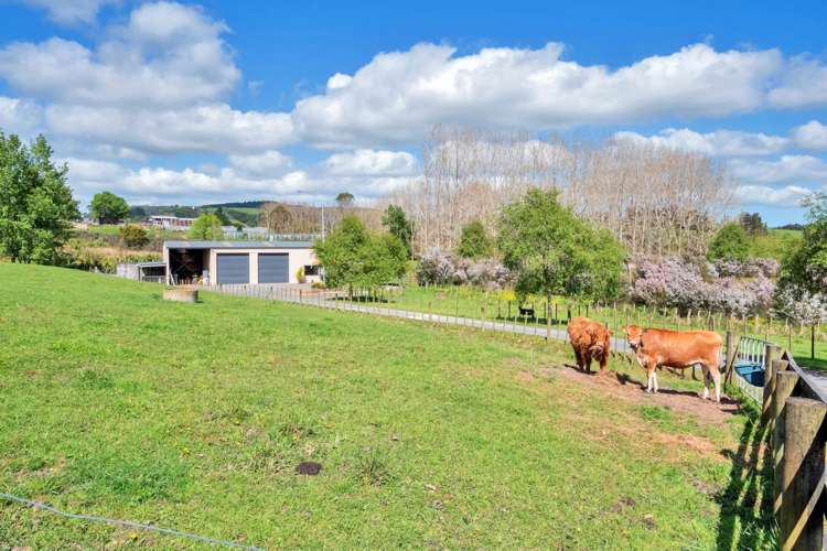 84 Streamlands Swamp Road Kaipara Flats_4