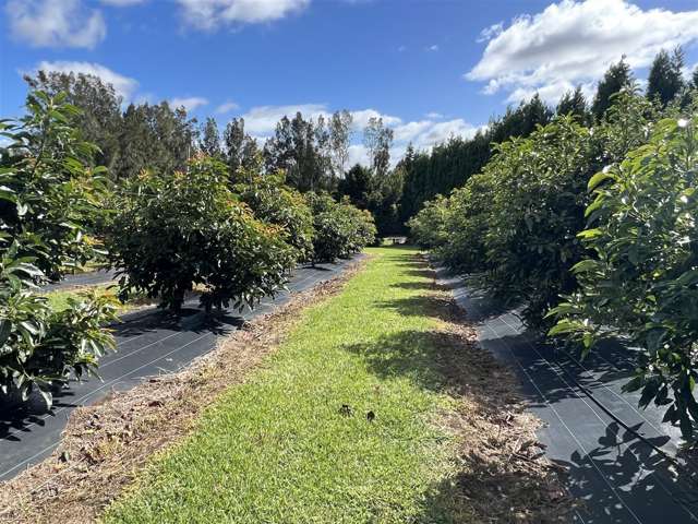 565 Kerikeri Road Kerikeri_1