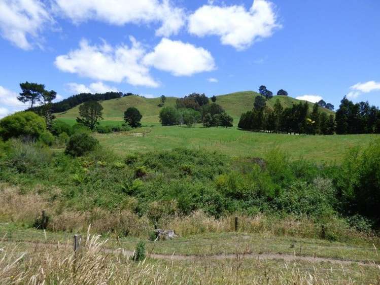 1370 Te Kopia Road Waikite Valley_15