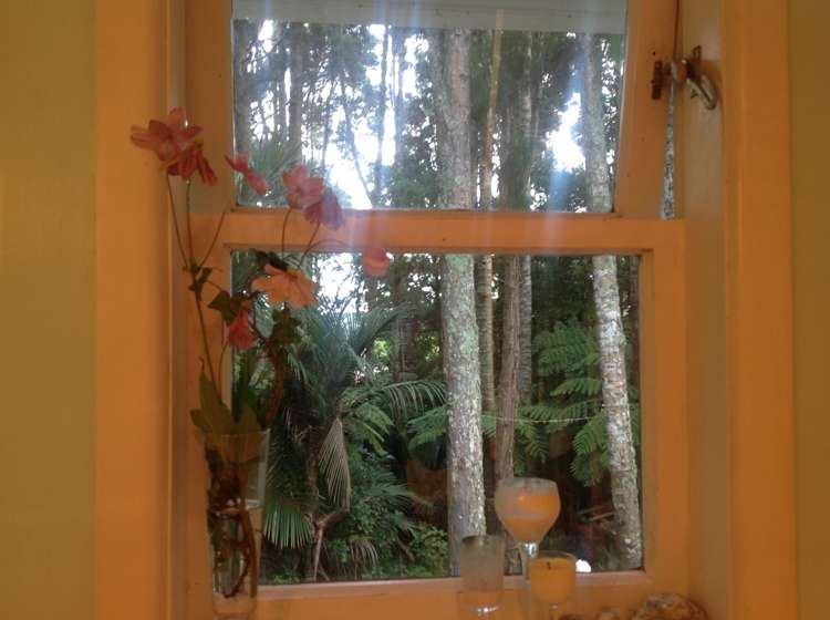 97 Waima Crescent Titirangi_12