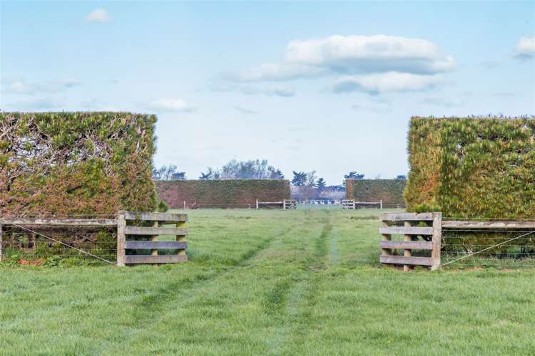 1727 South Eyre Road West Eyreton_32