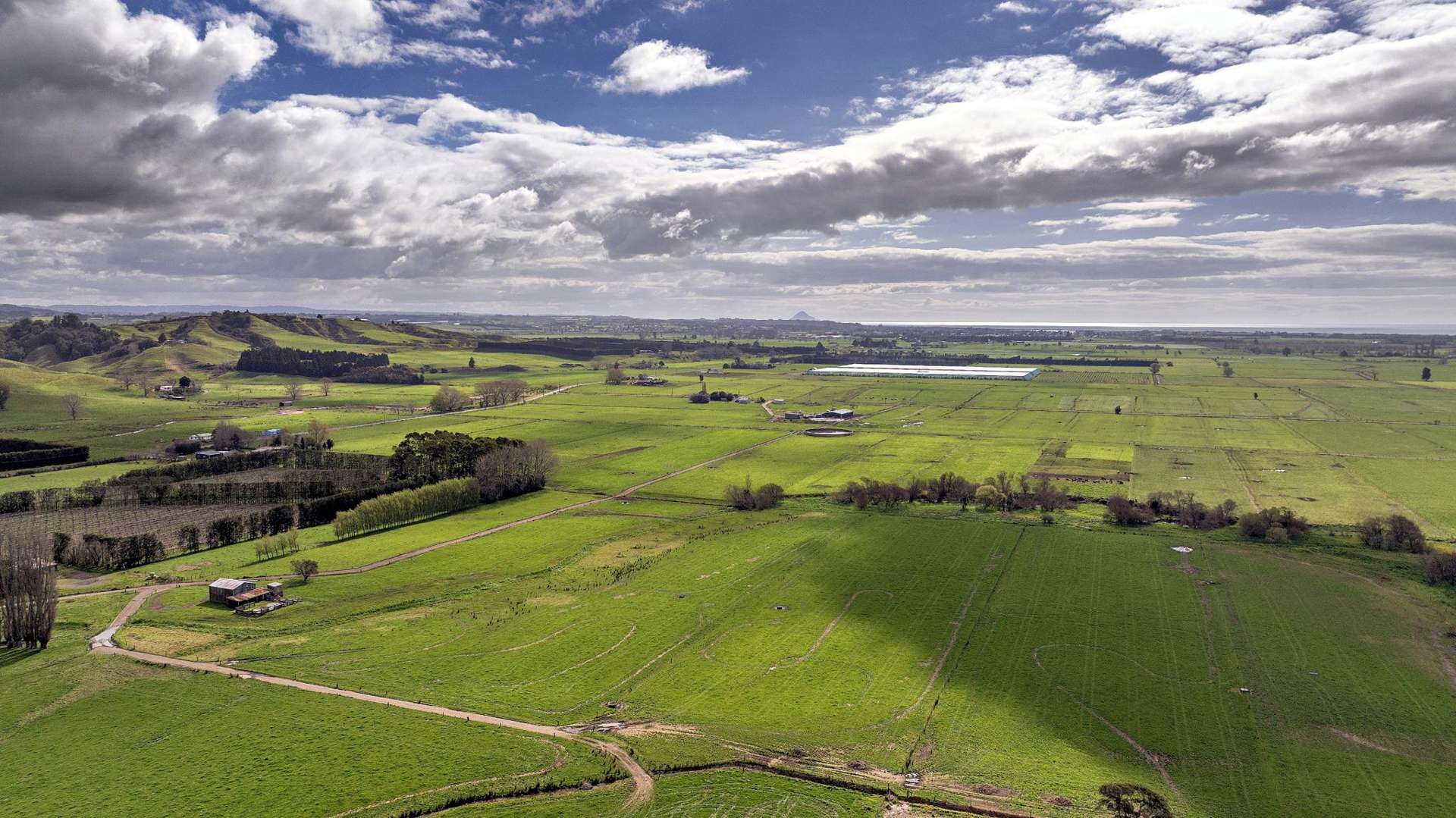 Queens Farm, 16 McGinley Road Opotiki_0