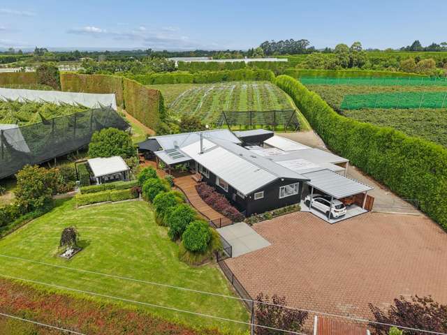 447 No2 Road Te Puke_3