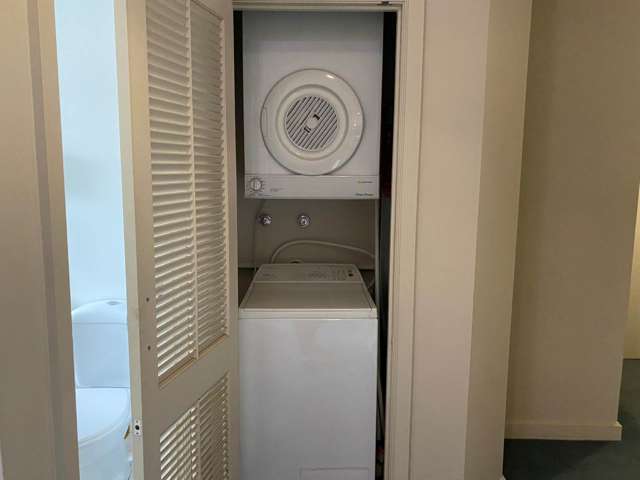 5d/125a Hobson Street Auckland Central_4