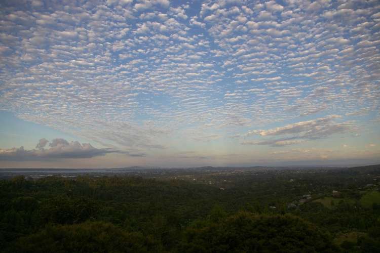 318 Forest Hill Road Waiatarua_26