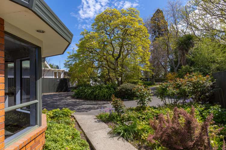 105a Maxwell Road Blenheim Central_18