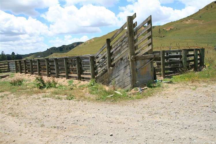 Walter Road Douglas_11