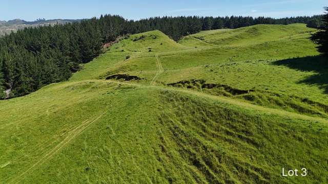 Lot 3 and 7/1005 Rangitatau East Road Kai Iwi_2