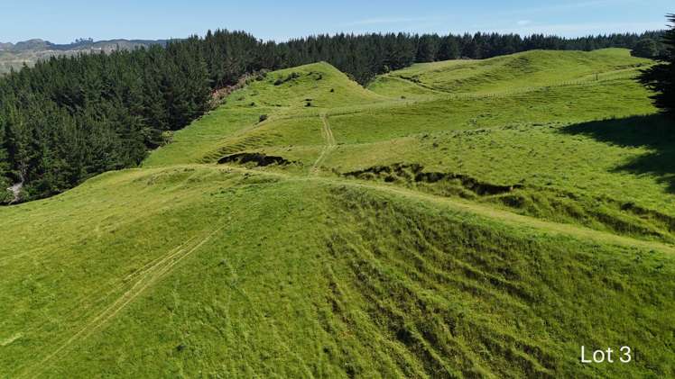 Lot 3 and 7/1005 Rangitatau East Road Kai Iwi_2