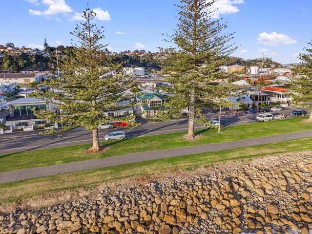 45 Hardinge Road Ahuriri_2