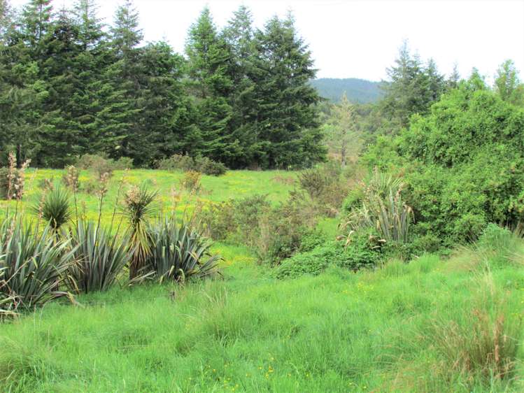 770 Rutherglen Road Marsden_27