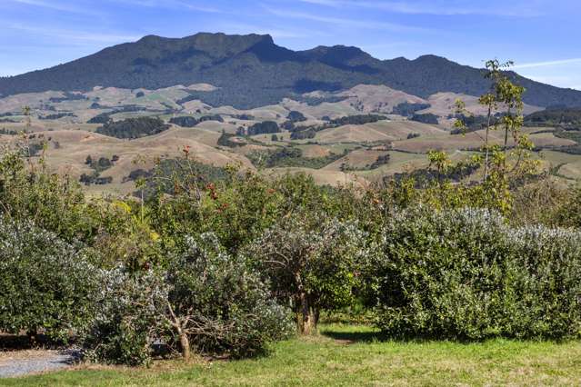 11 Somerset Lane Raglan_2