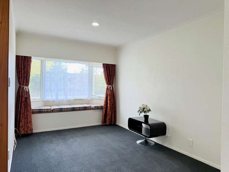 305 No 3 Road Te Puke_17