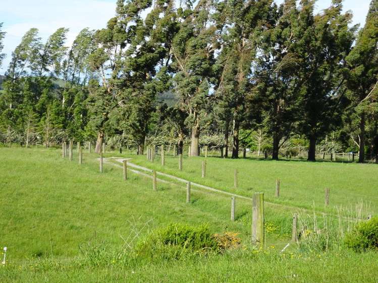 295 Kelvin Road Gore Surrounds_15