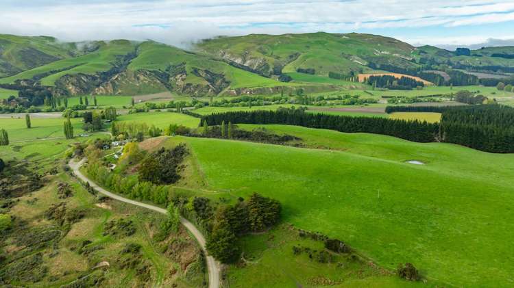 1241 Blythe Road Domett_2