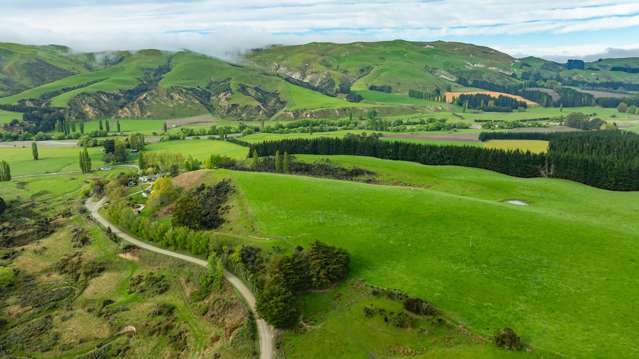 1241 Blythe Road Domett_2