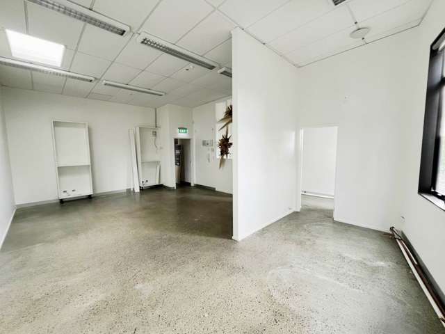 483 Richmond Road Grey Lynn_3