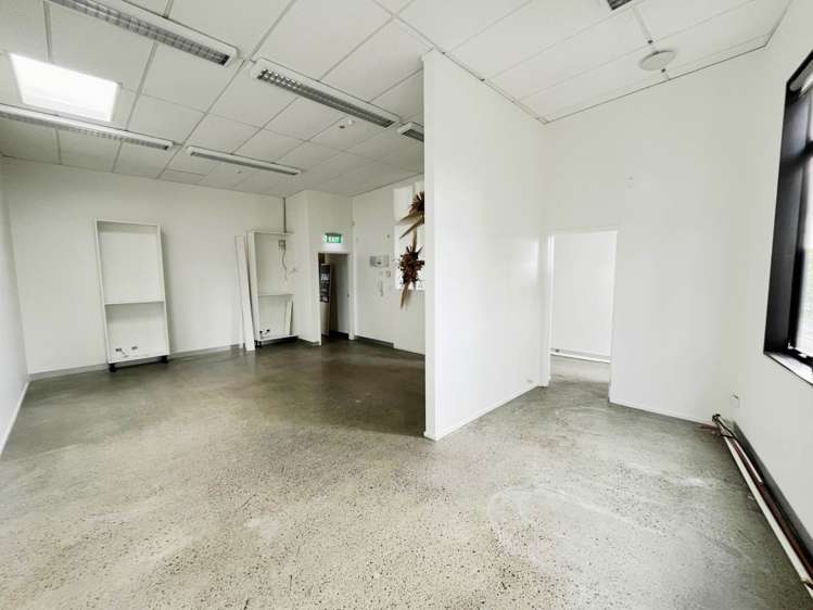 483 Richmond Road Grey Lynn_3