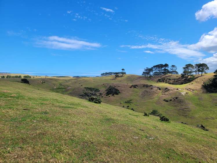 1008 Te Maire Road Te Kopuru_14